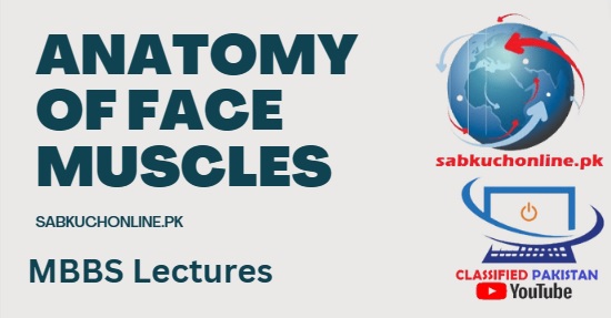Anatomy of Face Muscles – Anatomy Videos Lectures – MBBS Lectures