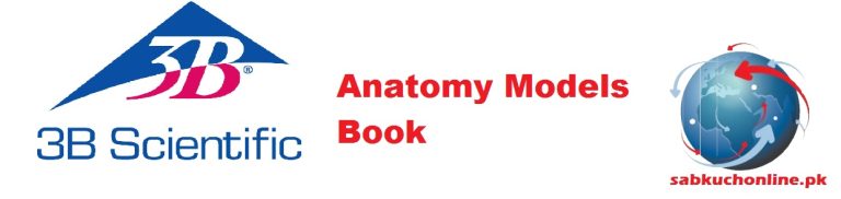 3b scientific Anatomy Models Book