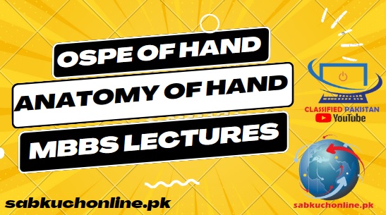 Anatomy of Hand  OSPE of Hand  Slideshow on Hand  Video Lecture of Hand