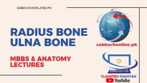 RADIUS Bone ULNA Bone Lecture – Anatomy Lectures – MBBS Lectures
