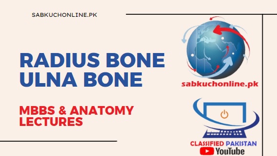 RADIUS Bone ULNA Bone Lecture - Anatomy Lectures - MBBS Lectures