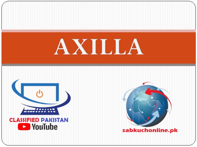 AXILLA Anatomy of AXILLA