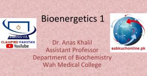 Bioenergetics 1 Biochemistry Slideshow – MBBS Lectures