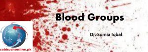Blood Group Physiology Slideshow