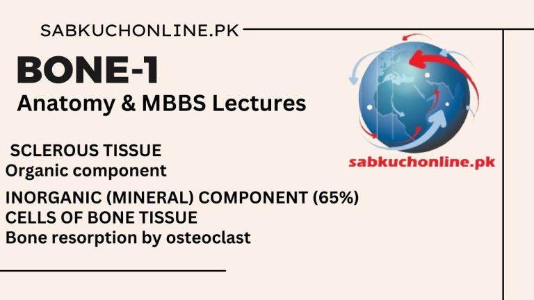 Bone-I (Histology) Slideshow - SCLEROUS TISSUE - Anatomy Lectures - MBBS Lectures