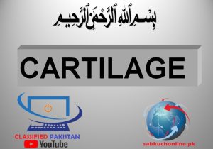 Cartilage Anatomy Slideshow – Anatomy Lectures – MBBS Lectures