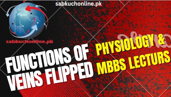 Functions of Veins Flipped - Physiology Lecture - MBBS Lecture