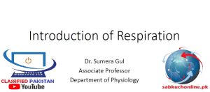 Introduction to Respiration Physiology Slideshow
