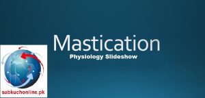 Mastication Physiology slideshow