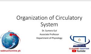 Organization of Circulatory System Slideshow
