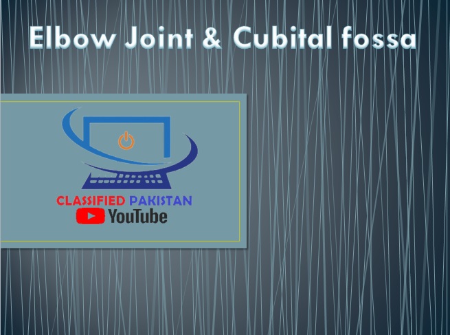 elbow joint cubital fossa 2