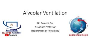 Alveolar Ventilation Physiology slideshow