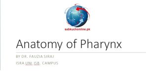 Anatomy of Pharynx Anatomy Slideshow