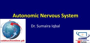 Autonomic Nervous System Physiology Slideshow