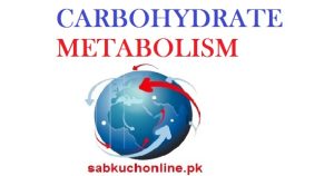 CARBOHYDRATE METABOLISM Biochemistry Slideshow