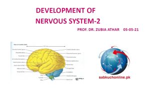 Development of Nervous System CNS-2  Embryology Slideshow