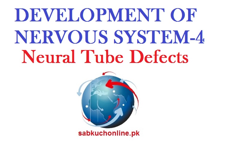 Development of Nervous System CNS-4 Neural Tube Defects Embryology Slideshow