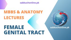 FEMALE GENITAL TRACT Lecture – Anatomy Lectures – MBBS Lectures