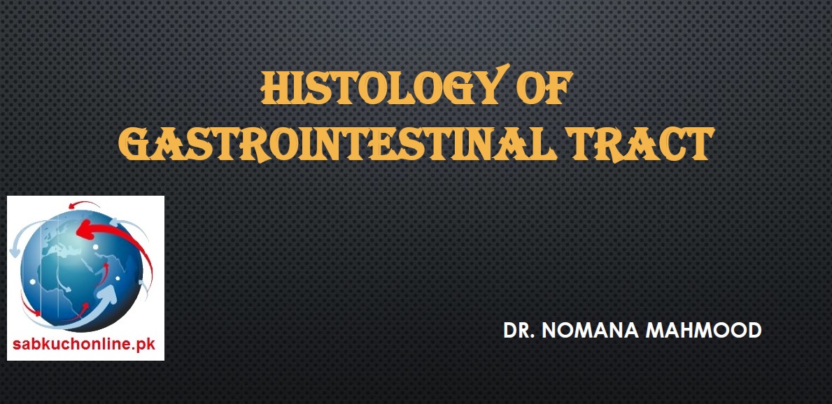 HISTOLOGY OF Gastrointestinal Tract Histology Slideshow
