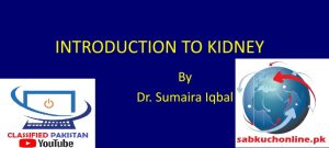 Introduction to Kidney Physiology Slideshow