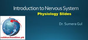 Introduction to Nervous System Physiology Slideshow