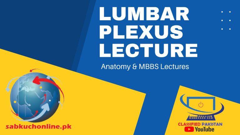 LUMBAR PLEXUS Lecture - Anatomy Lectures - MBBS Lectures