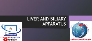 Liver and Biliary Apparatus Physiology Slideshow