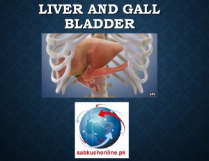 Liver and Gall Bladder Histology Slideshow