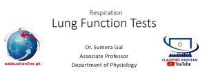 Lung Function Tests Physiology Slideshow