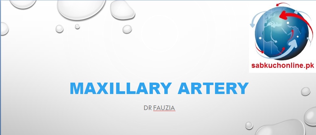 Maxillary artery Anatomy Slideshow