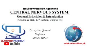NeuroPhysiology Agathons Physiology Slideshow