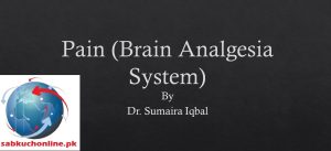 Pain (Brain Analgesia System) Physiology Slideshow
