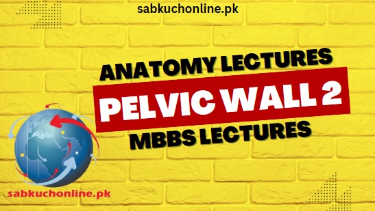 Pelvic Wall 2 Lecture - Anatomy Lectures - MBBS Lectures