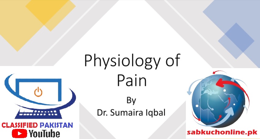 Physiology of Pain Physiology Slideshow