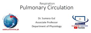 Pulmonary Circulation Physiology Slideshow