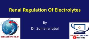 Renal Regulation Of Electrolytes Physiology Slideshow