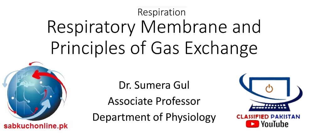 Respiratory Membrane and Principles of Gas Exchange Physiology Slideshow