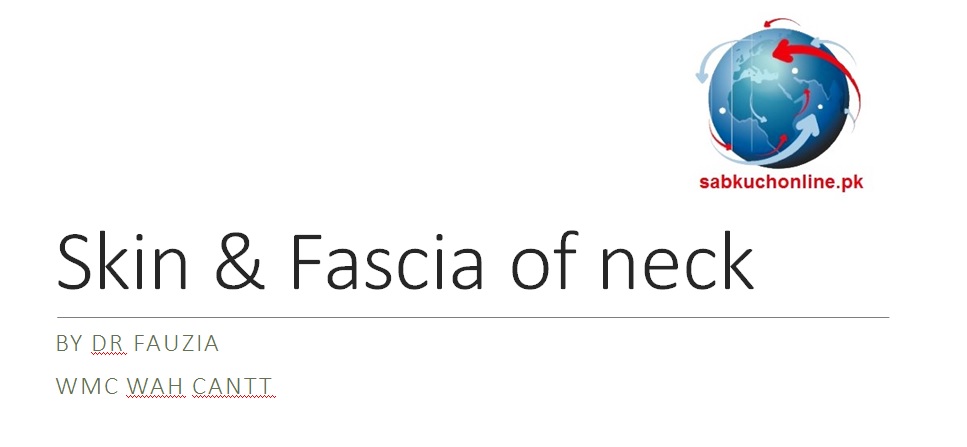 Skin & Fascia of Neck Anatomy Slideshow
