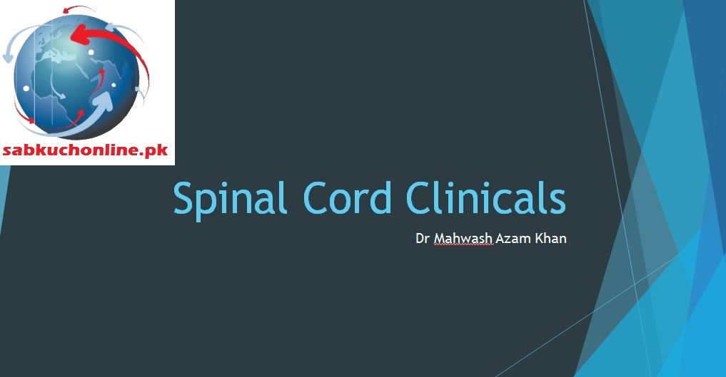 Spinal Cord clinicals Anatomy Slideshow