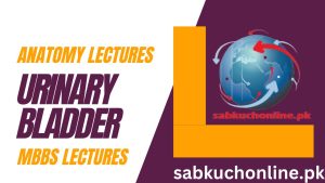 URINARY BLADDER Lecture – Anatomy Lectures – MBBS Lectures