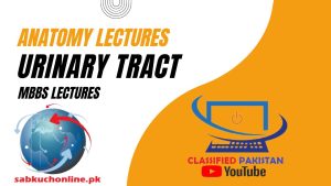 URINARY TRACT Lecture – Anatomy Lectures – MBBS Lectures