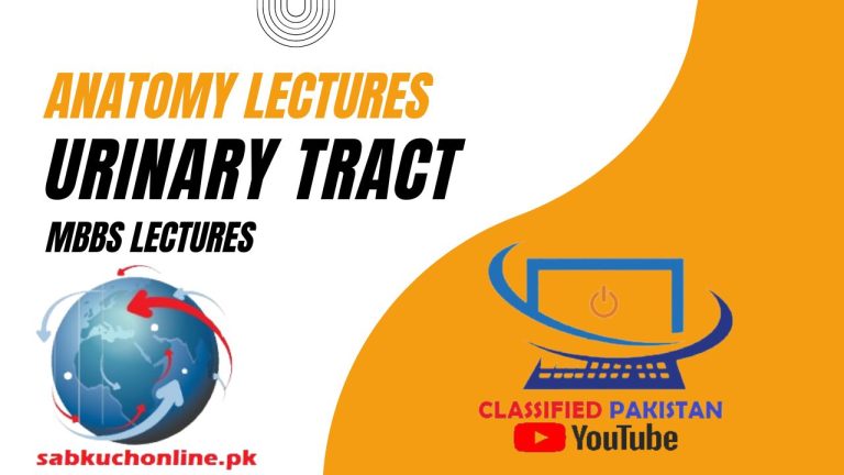 URINARY TRACT Lecture - Anatomy Lectures - MBBS Lectures
