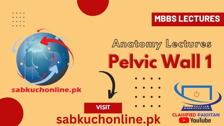 Pelvic Wall 1 Lecture - Anatomy Lectures - MBBS Lectures
