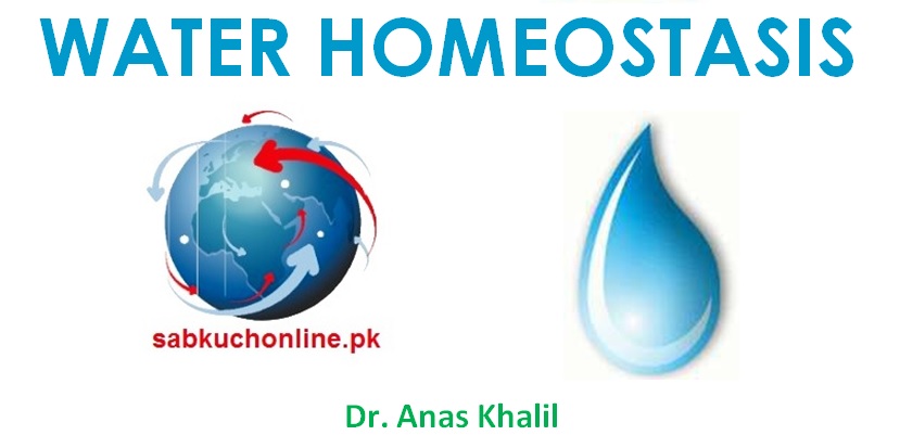 WATER HOMEOSTASIS Biochemistry Slideshow