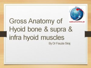 ross anatomy of Hyoid bone & supra & infra hyoid muscles