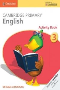 Cambridge Primary English 3 Activity Book PDF