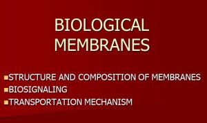 BIOLOGICAL MEMBRANES – Biochemistry Slideshow – First Year Block First