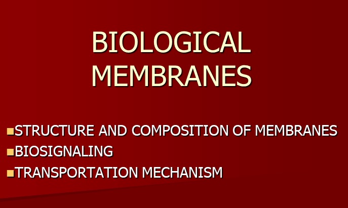 BIOLOGICAL MEMBRANES - Biochemistry Slideshow - First Year Block First