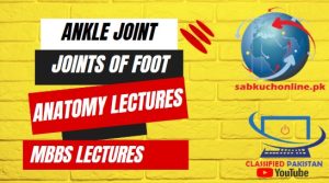 Ankle Joint and joints of foot Lecture – Anatomy Lectures – MBBS Lectures