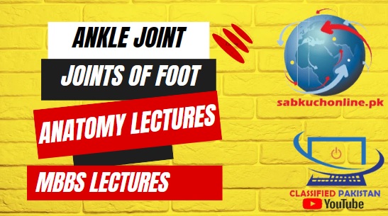 Ankle Joint and joints of foot Lecture - Anatomy Lectures - MBBS Lectures